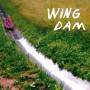 Wing Dam - Glow Ahead