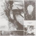 Jiha Park - All Living Things