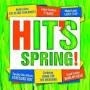 Various Artists - Hits Spring 2016