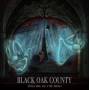 Black Oak County - Theatre Of The Mind