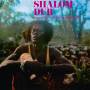 King Tubby - Shalom Dub