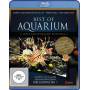 Aquarium - Best of Aquarium (Blu-ray) [DE-Version, Regio 2/B]