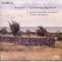 Swedish Chamber Orchestra / Thomas Dausgaard - Sinfonien 8 Und 9