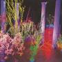 Husker Du - Warehouse: Songs and Stories