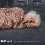 K-Mundi - The Little Disaster Inside Us