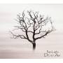 Papa Legba - Dead Air