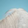 Widowspeak - All Yours