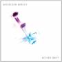 Michelson Morley - Aether Drift