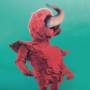 Harvey Rushmore & The Octopus - Futureman