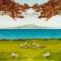 Joan Shelley - Like The River Loses The Sea