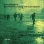 Van Haeperen / Ensemble Sturm Und Klang - S'lancer