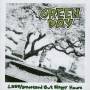 Green Day - 1039/Smoothed Out Slappy Hours