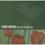 Pernice Brothers - Discover The Lovelier You