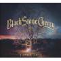 Black Stone Cherry - Family Tree