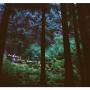 Stein Urheim & Mari Brunvoll Kvien - Daydream Community