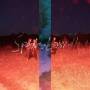 Lucia Cadotsch - Speak Low II (Purple Colored)