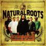 Natural Roots - Words Of Jah