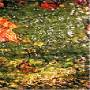 Dificil Equilibrio - Flood