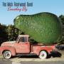 The Mick Fleetwood Band - Something Big
