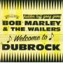 bob Marley - Welcome To Dub Rock