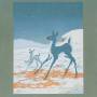 Tortoise / Bonnie Prince Billy - The Brave And The Bold