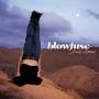 Blowfuse - Daily Ritual (+download)