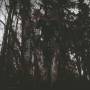 This Gift Is A Curse - I,Guilt Bearer