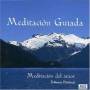 FABIANNA PITTELOUD - Meditacion Guiada
