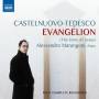 Alessandro Marangoni - Evanglion