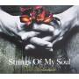 Tak Matsumoto - Strings Of My Soul