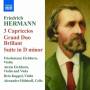 Eichhorn / Eichhorn / Kuppel / Hlshoff - Capriccios 1-3/Suite d-moll