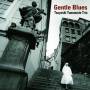 Yamamoto Tsuyoshi - Gentle Blues