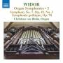Christian Von Blohn - Organ Symphonies,Vol.3