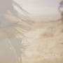 Melaena Cadiz - Sunfair