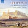 Leif Segerstam / Turku Philharmonic Orchestra - Die Ruinen von Athen