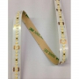 Synergy 21 Led - S21-LED-C00113