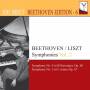 Idil Biret - Symphonien Vol.2