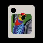 Die Drei ??? - Der Super-Papagei