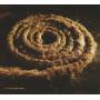 Coil / Nine Inch Nails - Recoiled