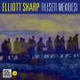 Elliott Sharp - Filiseti Mekidesi