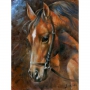 Pracht Creatives Hobby Gmbh - Diamond Painting Pferd 40x30 cm