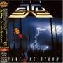 Shy - Brave Storm