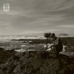Bj Nilsen - True Than Nature