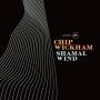 Chip Wickham - Shamal Wind