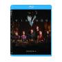 Viking: Season 4 -Vol 1 (3pc) / (3pk Ac3 Dts Ws) - Vikings: Season 4 - Vol 1 [US-Version, Regio 1]