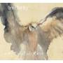 Gren Bartley - Magnificent Creatures
