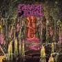Carnal Tomb - Embalmed In Decay (Digipak)