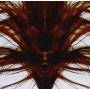 Dave Phillips - A Collection Of Hair