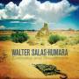 Walter Salas-Humara - Explodes And Disappears
