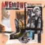 Anemone - Silver Star